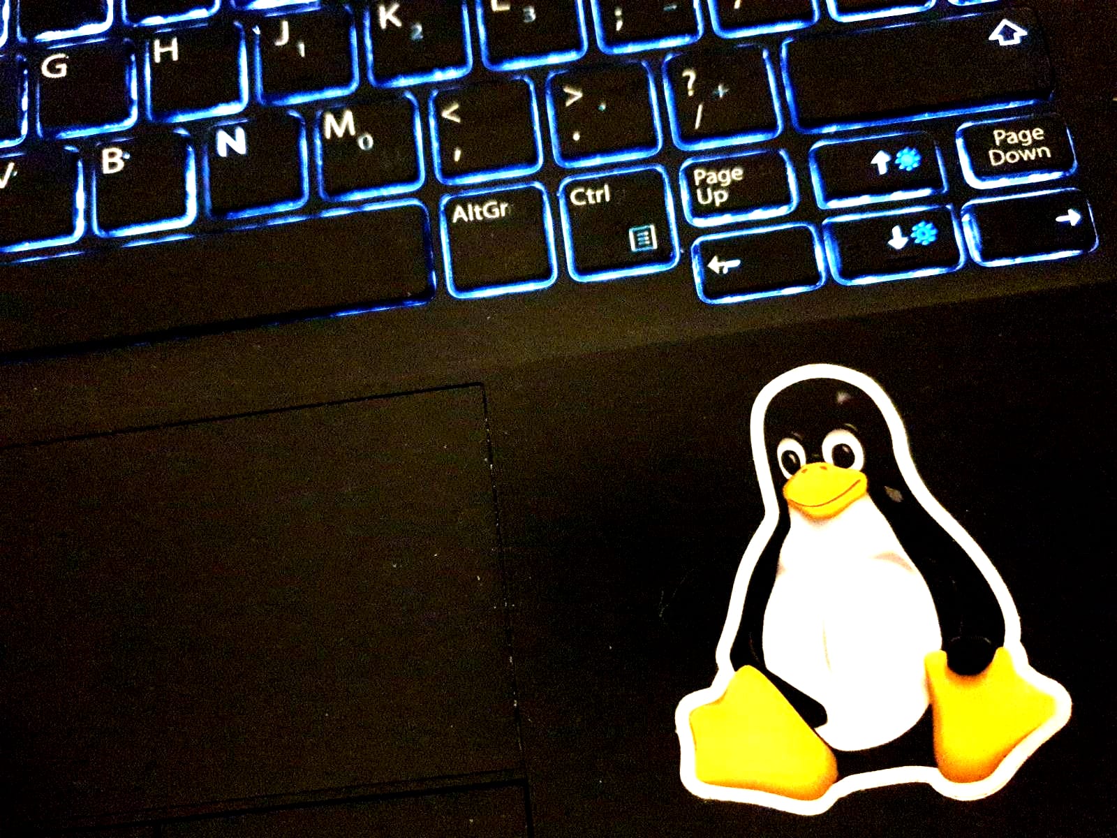 The glowing keyboard of a laptop with a sticker of the Linux mascot Tux attached beside them.